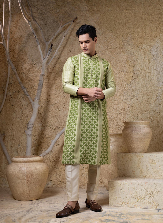 Green Panel Embroidered Kurta Set